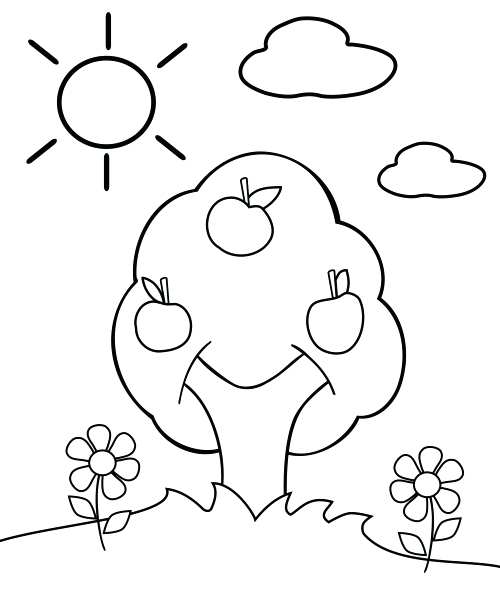 500x600 Plant Coloring Pages Preschool In Amusing Draw Page Kids Sheets