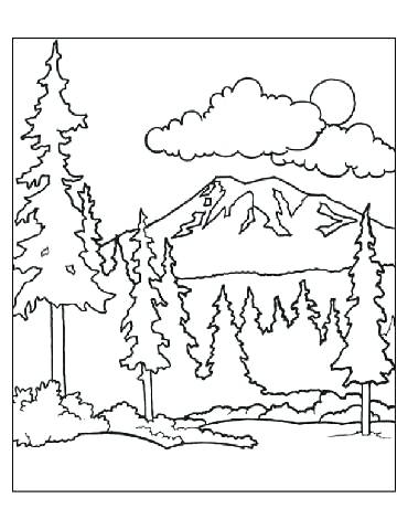 370x480 Plants Coloring Pages Rain Forest Animals Coloring Free Coloring