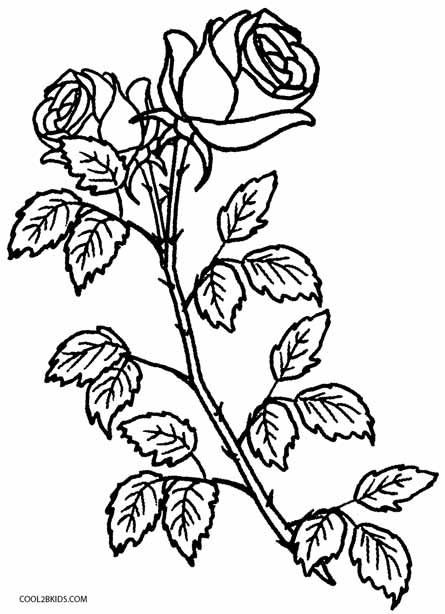 445x614 Printable Rose Coloring Pages For Kids Flowers