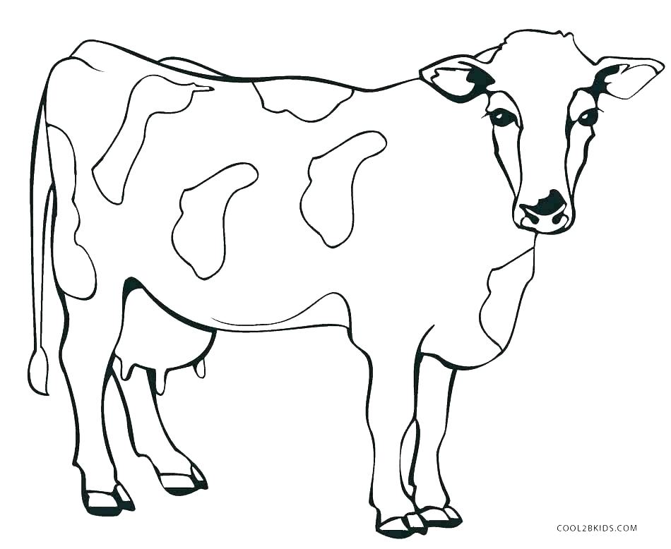 950x778 Nutrition Plate Coloring Page Of Flowers Flower Printable Cow
