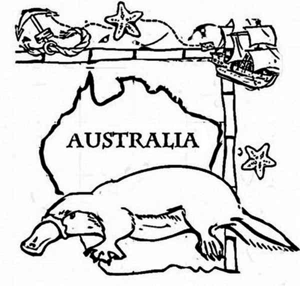 600x572 Platypus Coloring Sheet Happy Australia Day Say The Page Kids Play