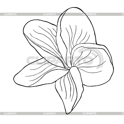 400x400 Hawaiian Flowers Stock Photos And Vektor Clipart Cliparto