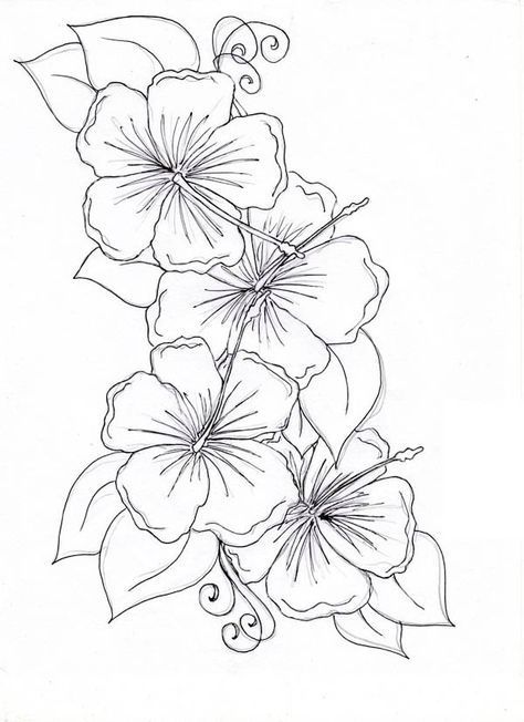 474x652 Hibiscus Flower, Hibiscus Flower Drawing Coloring Page Tattoos