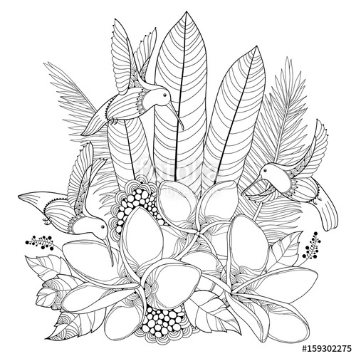 500x500 Vector Flying Hummingbird Or Colibri, Plumeria Flowers And Palm