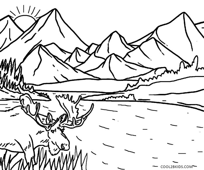 700x583 Drawn Nature Coloring Sheet