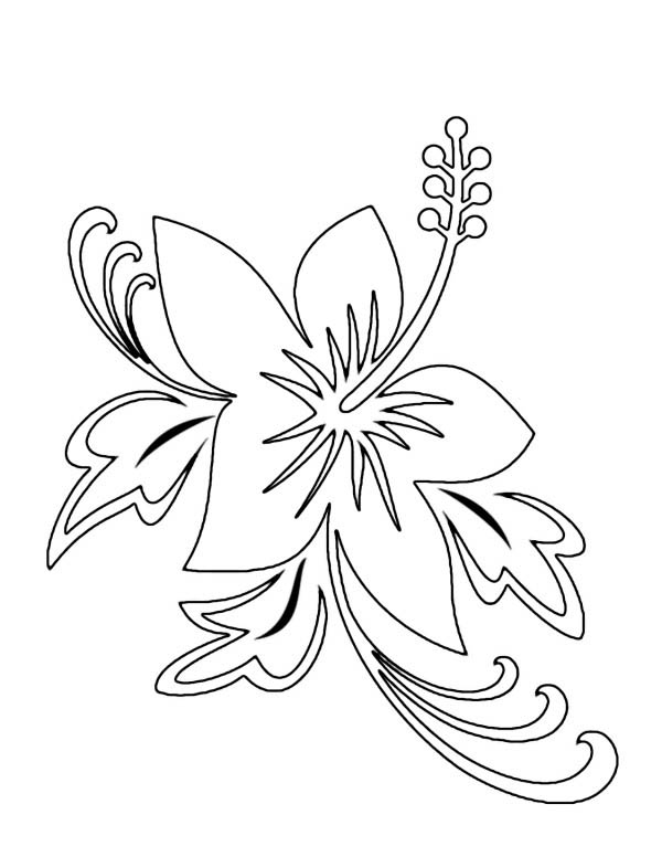 600x776 Hawaiian Flowers Coloring Pages
