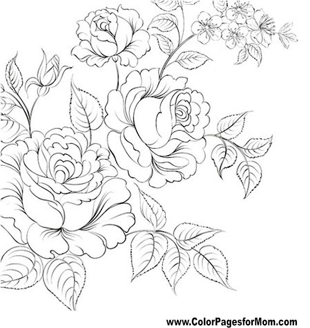 640x676 Flor Para Colorear Tatts Flower Colors