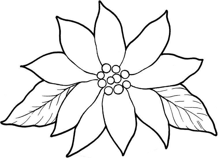 756x549 Poinsettia Coloring Pages Acpra