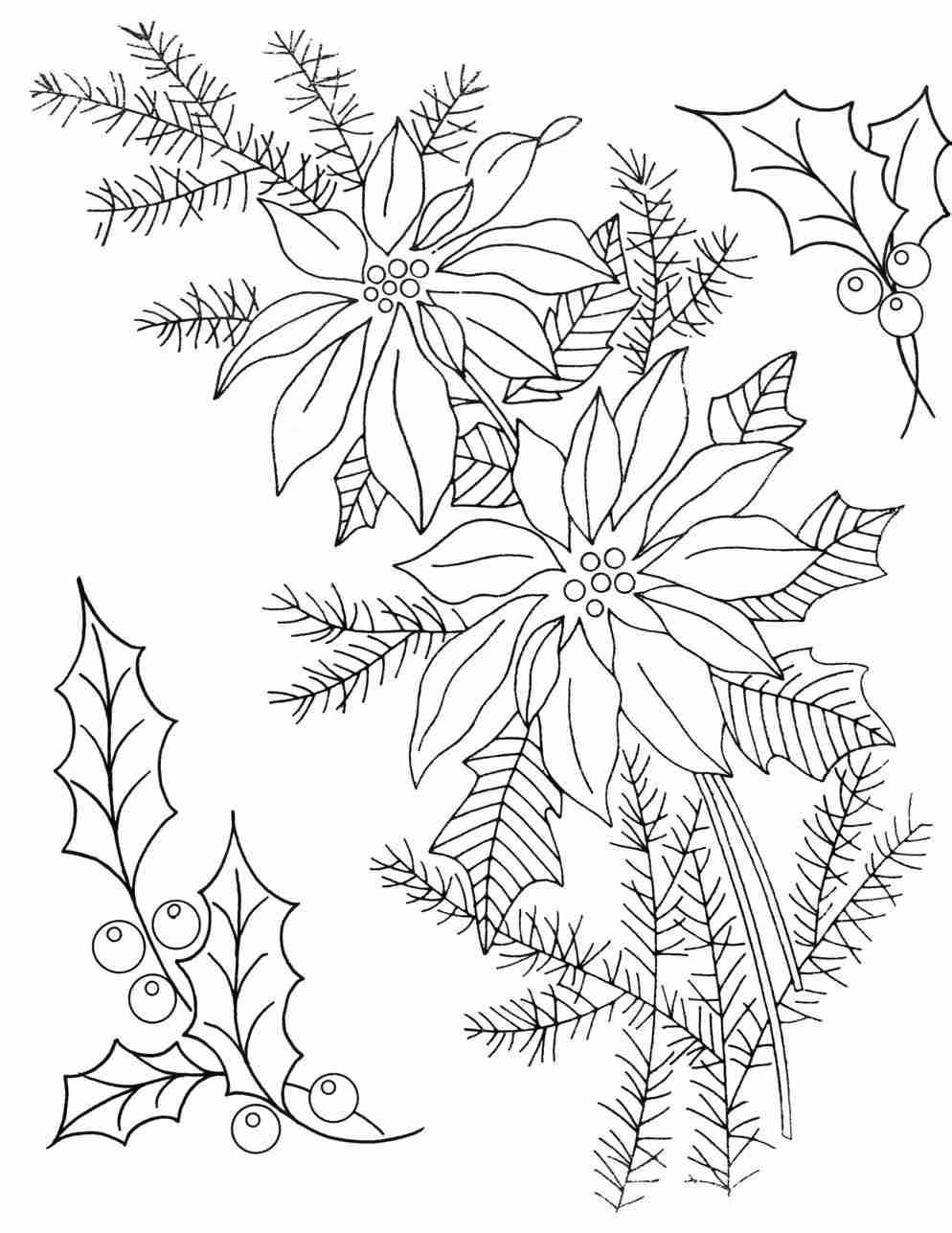 994x1287 Printable Poinsettia Coloring Pages Me Beautiful Poinsettias Page