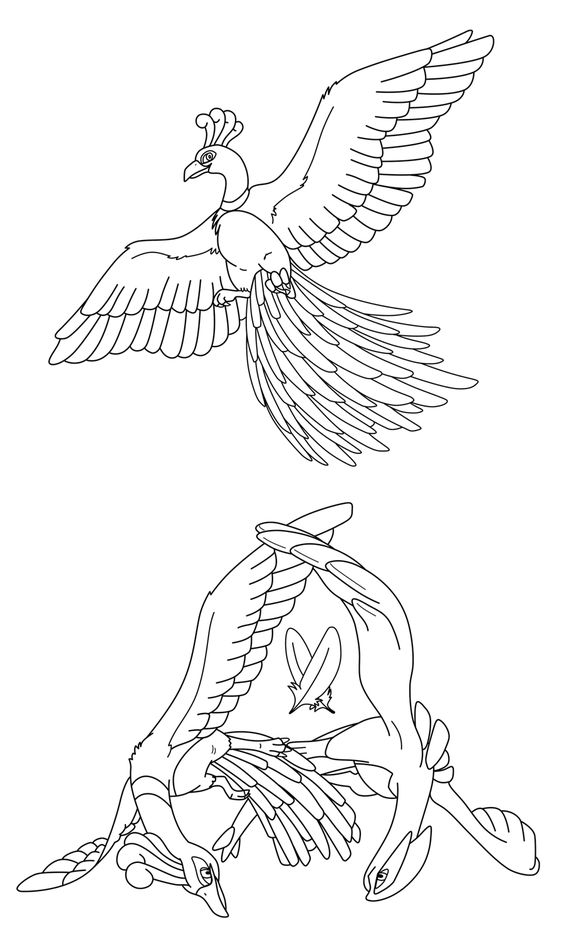 564x940 Lugia X Articuno Linearts