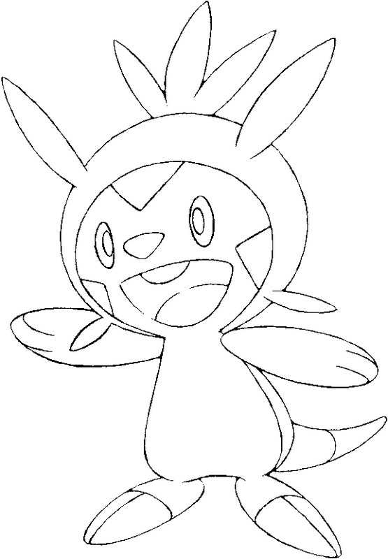 555x800 Coloring Pages Pokemon