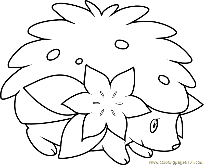 800x647 Pokemon Coloring Pages Shaymin