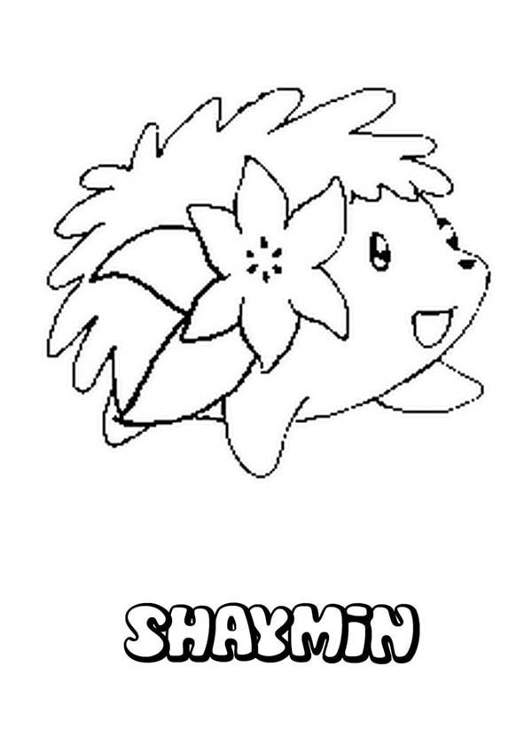 600x849 Shaymin Pokemon Coloring Pages