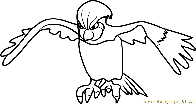 800x427 Pidgeotto Coloring Pages
