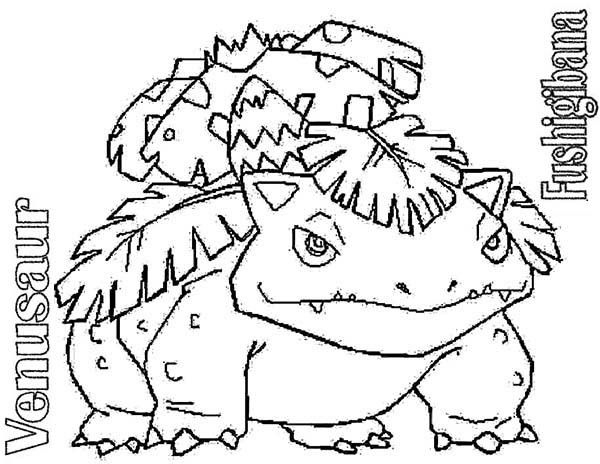 600x464 Pokemon Coloring Pages Venusaur