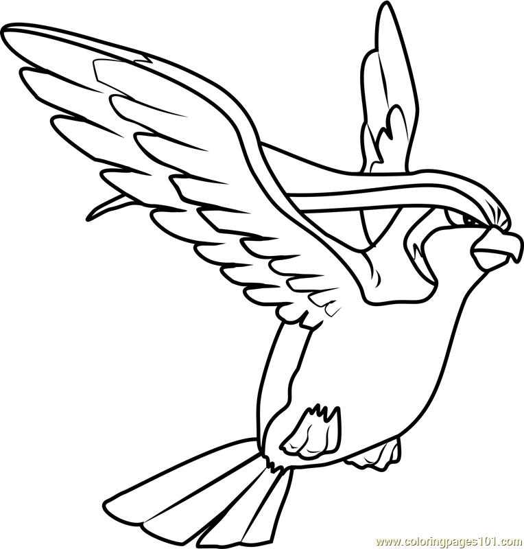 764x800 Pidgeot Pokemon Coloring Page