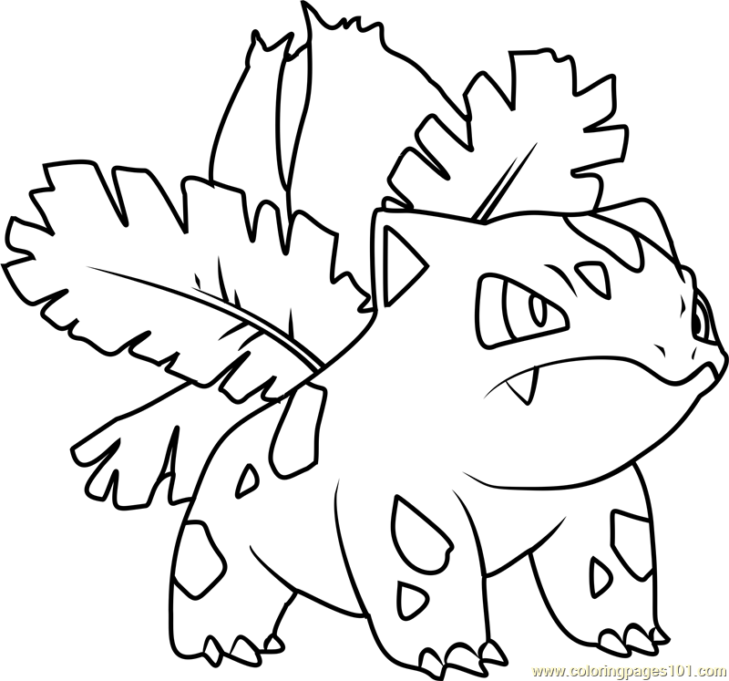 800x747 Pokemon Ivysaur Coloring Pages