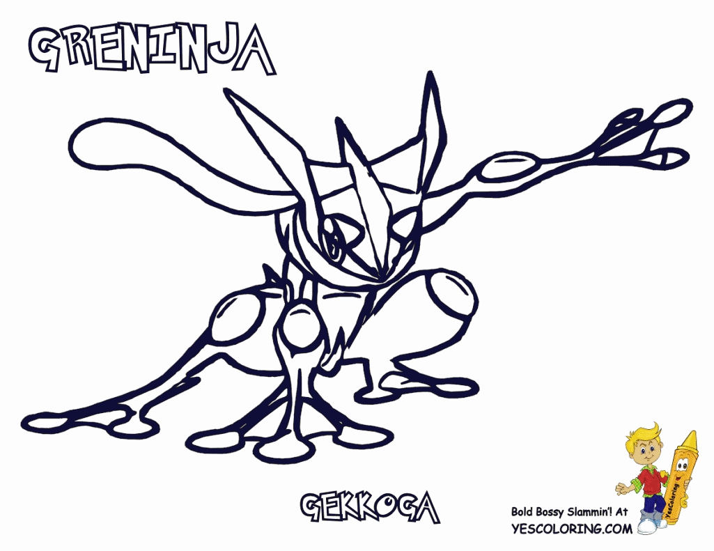 1025x791 Pokemon X And Y Coloring Pages Xy Pleasing