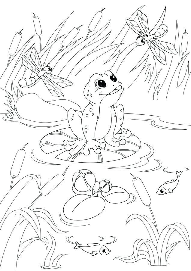 636x900 Pond Coloring Page Download Pond Coloring Page Stock Vector