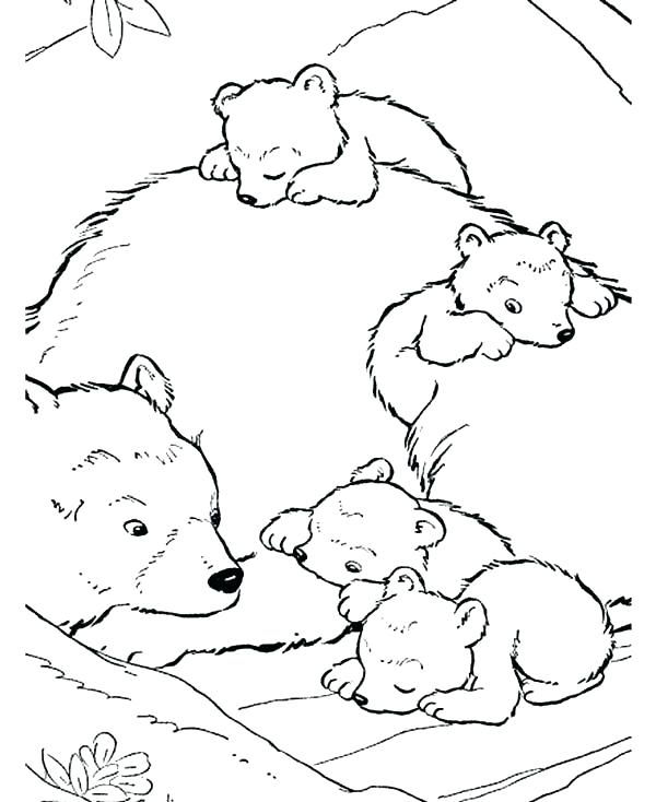 Polar Animals Coloring Pages at GetDrawings | Free download