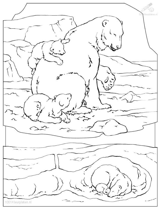 650x841 Polar Coloring Pages