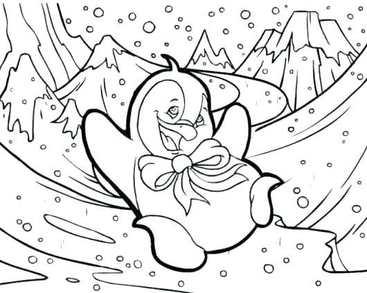 Polar Animals Coloring Pages at GetDrawings | Free download