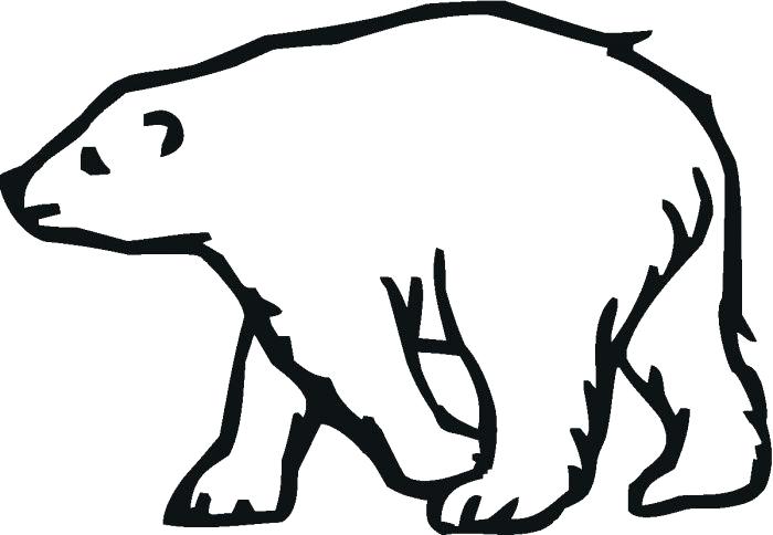 700x484 Polar Bear Outline Early Play Templates Polar Bear Color In Polar