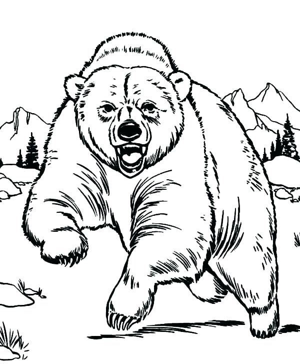 600x727 Polar Bears Coloring Pages Coloring Pages Of Bears Manners