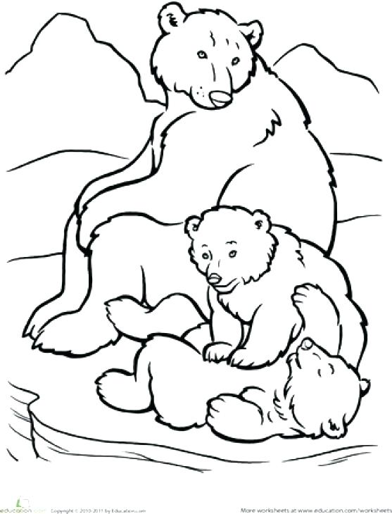 557x730 Coloring Pages Of Polar Bears Polar Bear Big Polar Bear Coloring