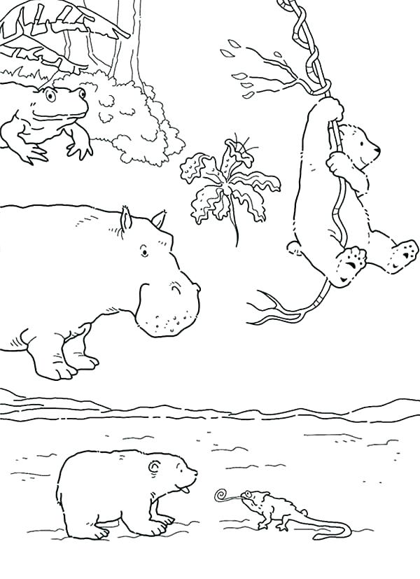 600x827 Polar Bear Coloring Pages Printable Polar Bear Coloring Pages
