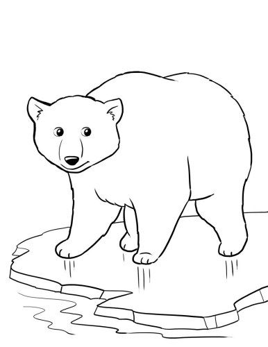 386x500 Top Free Printable Polar Bear Coloring Pages Online Polar