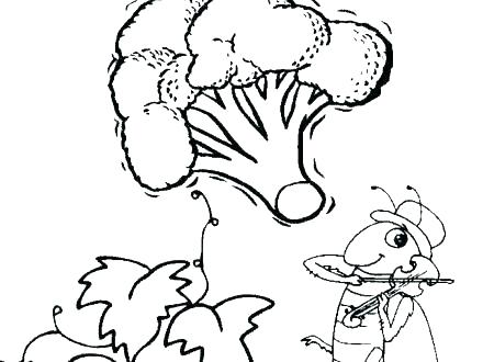 440x330 Polar Bear Coloring Pages For Preschoolers Jgheraghty Site