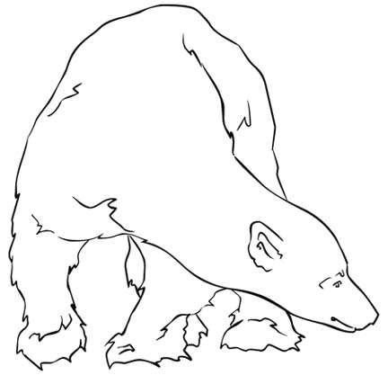 432x417 Polar Bear Coloring Papers Activities New Calendar Template Site