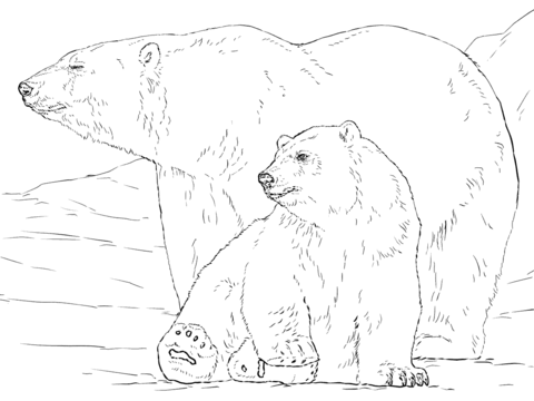 480x360 Polar Bear Plus Baby Looking Side Coloring Page