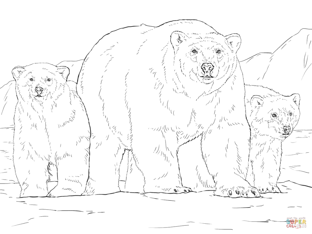1024x768 Polar Bear With Two Cubs And Coloring Page