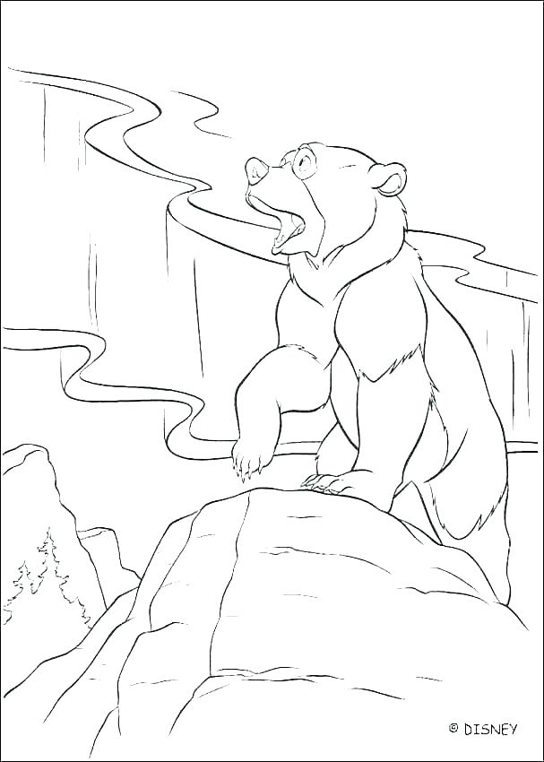 607x850 Polar Bears Coloring Pages Polar Bear Coloring Pages Bears