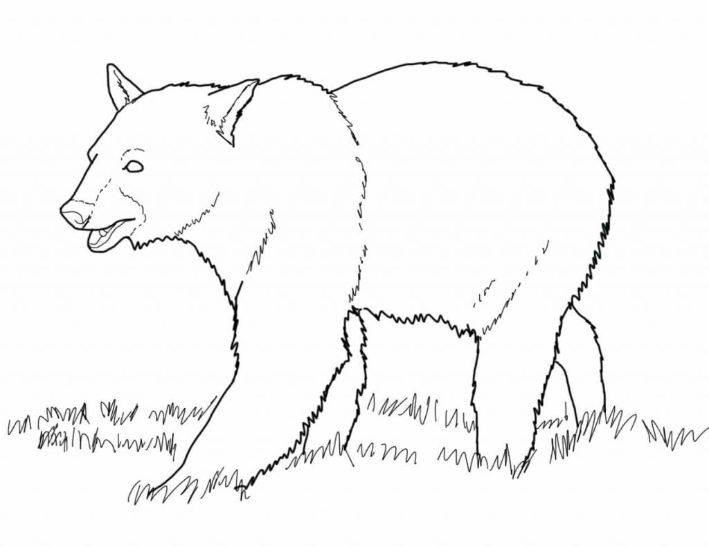 1024x791 Coloring Pages Polar Bear Coloring Page Cubs Logo Cub For Kids