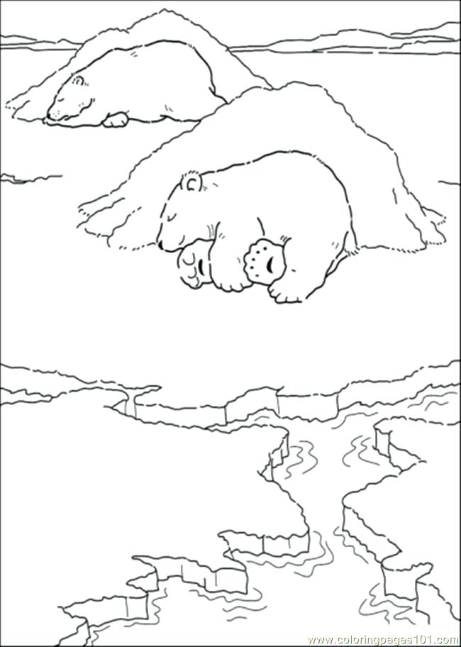 650x912 Coloring Pages Of Polar Bears Polar Bear Coloring Pages Polar