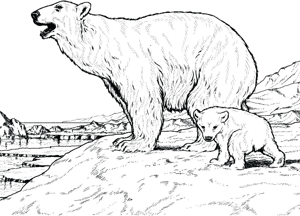 1024x737 Polar Bear Printable Coloring Pages Click The Polar Bear Is Diving