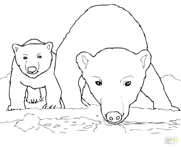 617x500 Polar Bear Printable Coloring Pages Polar Bear Coloring Page Polar