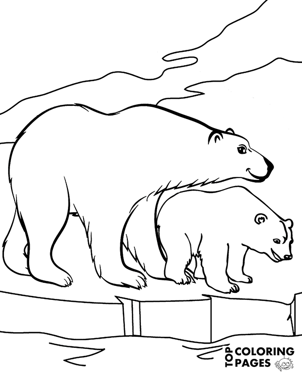 600x740 Two Beautiful Polar Bears In Arctics Printable Coloring Page, Sheet