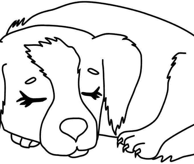 678x572 Dog Coloring Pictures To Print K Police Dog Coloring Page Free