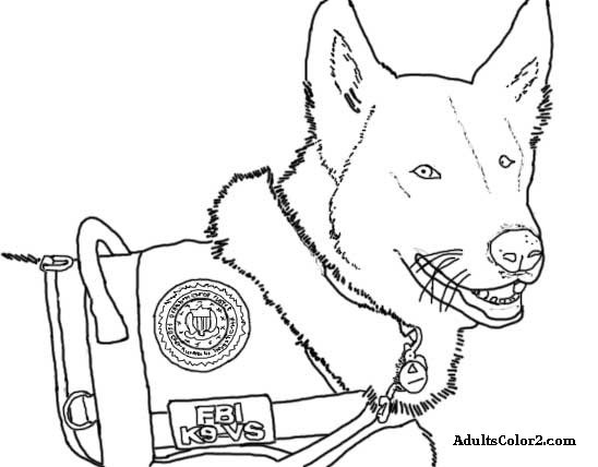 548x428 Coloring Pages Police Dog