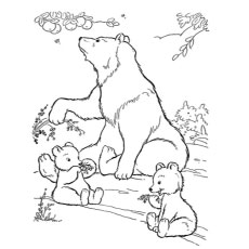 230x230 Top Free Printable Polar Bear Coloring Pages Online