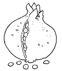 236x271 Rosh Hashanah Coloring Page Featuring Pomegranates