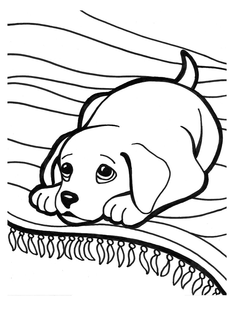 800x1044 Pomeranian Puppy Coloring Pages For Kids Showy Cute