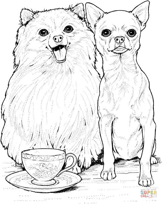 574x719 Pomeranian Dog And Chihuahua Super Coloring Dog Patterns