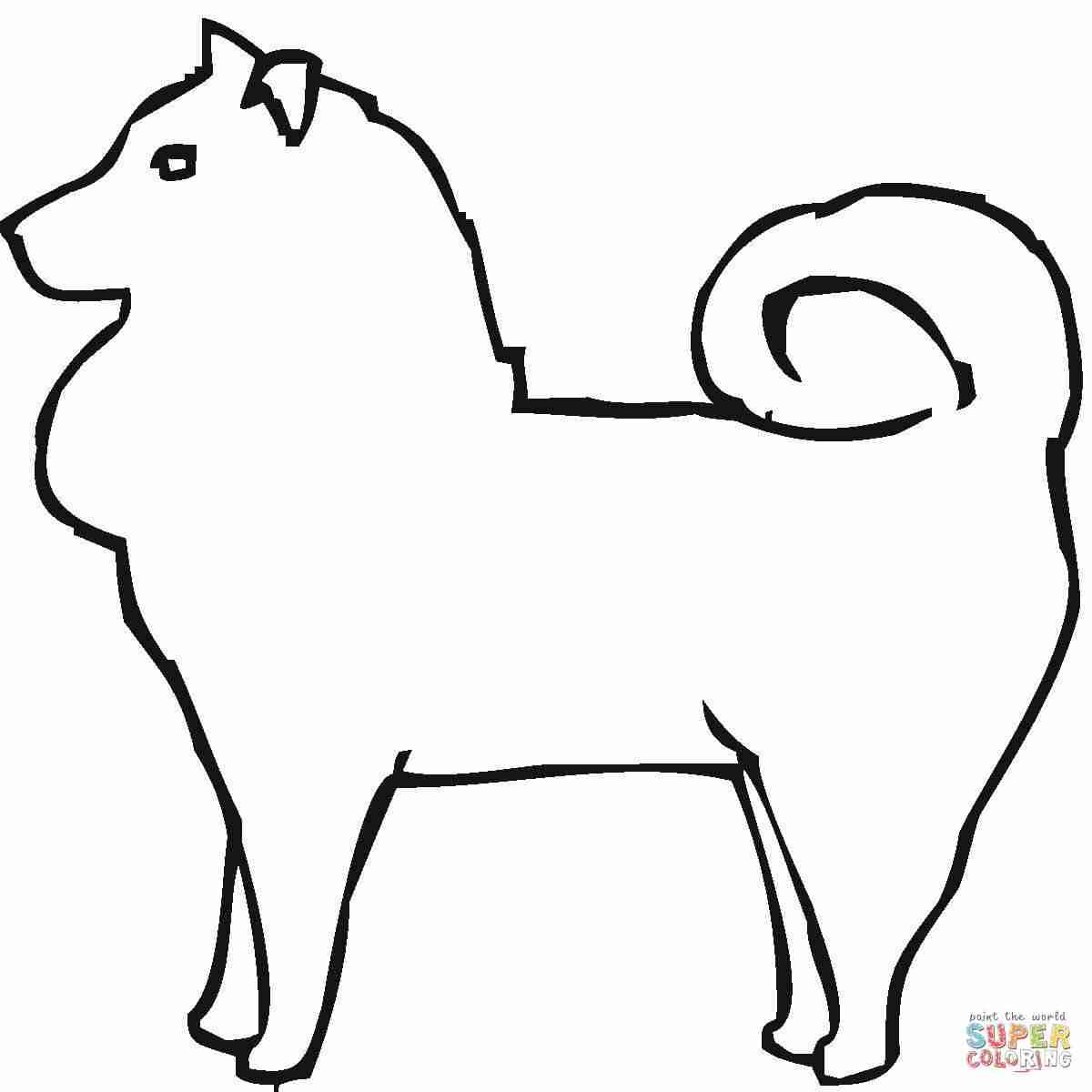 1200x1200 Pomeranian Coloring Page Free Printable Pages Prepossessing