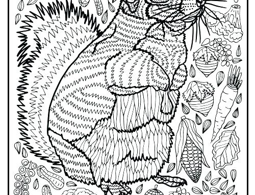 500x383 Pomeranian Coloring Pages Coloring Pages Squirrel Coloring Page
