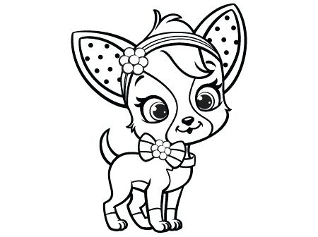 450x336 Chihuahua Coloring Page Pages Chihuahu On Pomeranian Puppy